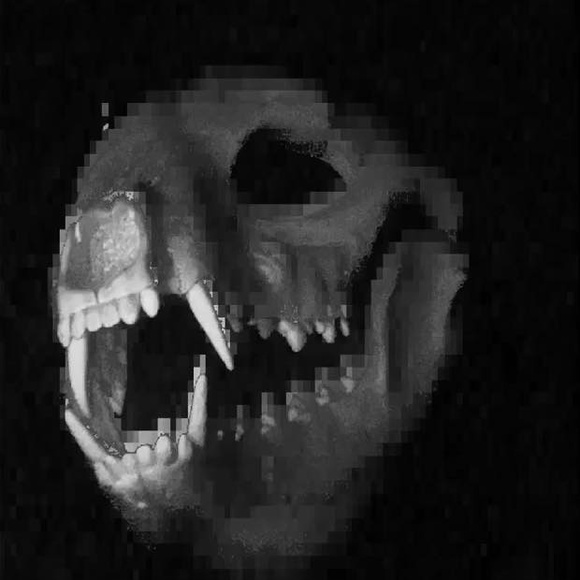 Poshmark profile picture for @sacrificial